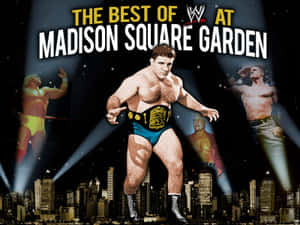 Bruno Sammartino Wwe Wrestling Legend Wallpaper