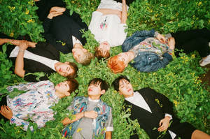 Bts Desktop Lying On Grass Wallpaper