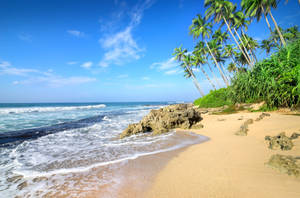 Bubbly Beach Scenes Desktop Wallpaper