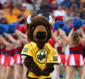 Buffalo Wild Wings Mascot Cheer Dance Wallpaper