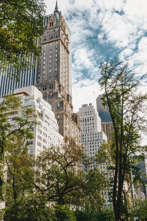 Buildings Overlooking Central Park Wallpaper