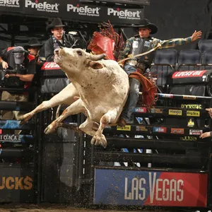 Bull Riding Actionat P B R Event.jpg Wallpaper