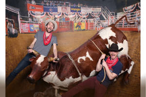 Bull Riding In Fort Worth Wallpaper