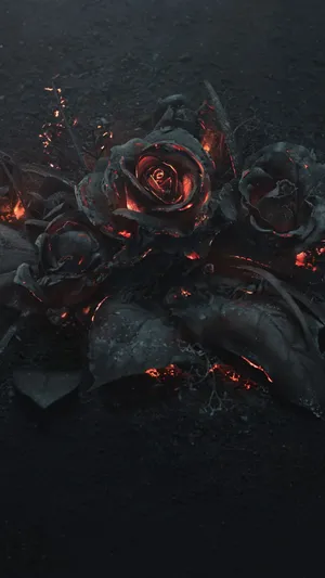 Burning Roses 4k Ultra Iphone Wallpaper