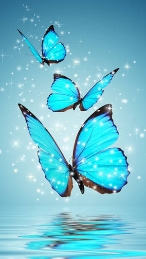 Butterflies Over The Water Wallpaper