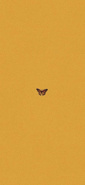 Butterfly Aesthetic Yellow Mustard Wallpaper