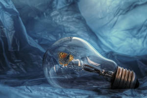 Butterfly Light Bulb Wallpaper