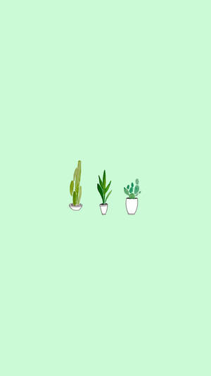 Cactus Mint Green Wallpaper