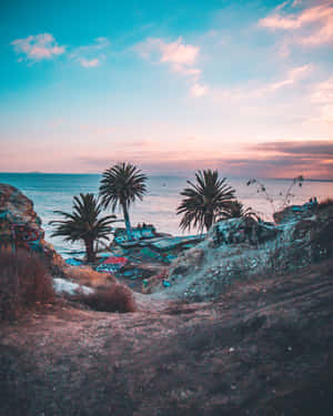 California Aesthetic With Clouds Wallpaper