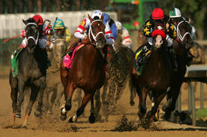 California Chrome Crosses The Finish Line To Become The 12th Triple Crown Winner Wallpaper