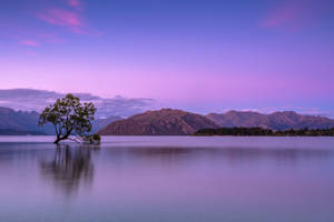 Calm Purple Sky Wallpaper