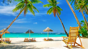 Calm Tropical Beach Area Wallpaper