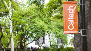 Caltech Banner On Pole Wallpaper
