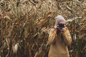 Camera In The Tall Grass Wallpaper