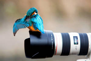 Camera Telephoto Lens Wallpaper