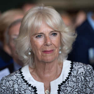 Camilla Blonde Hair Wallpaper