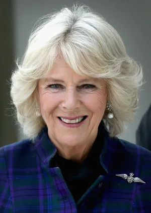 Camilla Phone Blue Clothing Wallpaper