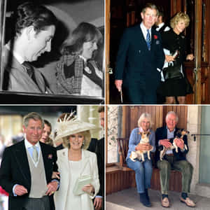 Camilla Vintage Images Collage Wallpaper
