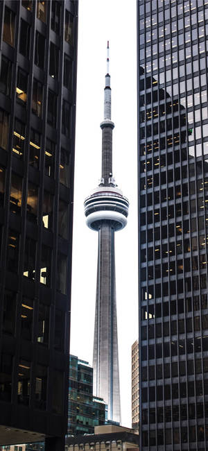 Canada's Cn Tower Portrait Wallpaper