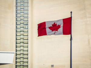 Canadian Flag Remembrance Day Wallpaper