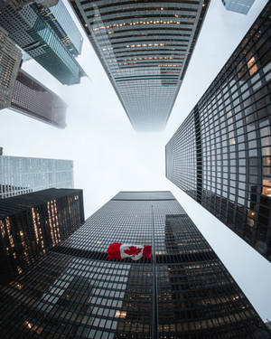 Canadian Tall Skyscrapers Wallpaper