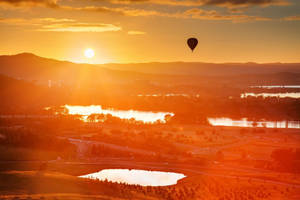 Canberra Monochrome Sunlight Wallpaper