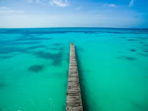 Cancún, Mexico Puncheon Bridge Wallpaper