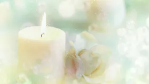 Candle With Pure White Flower Wallpaper