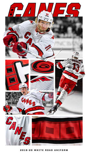 Canes Of Carolina Hurricanes Wallpaper