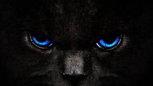 Canva Digital Cat Eyes Wallpaper