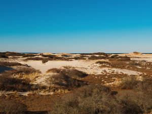 Cape Cod Dune Shacks Trail Wallpaper