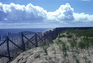 Cape Cod Fluffy Clouds And Sea Wallpaper