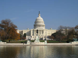 Capitol Hill Lake With Trees Wallpaper