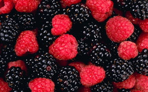 Caption: A Lush Cluster Of Loganberries Wallpaper