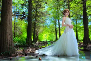 Caption: Elegant Bride In A Beautiful Wedding Gown Wallpaper