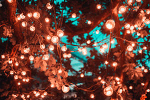 Caption: Enchanting Cascade Of String Lights Wallpaper