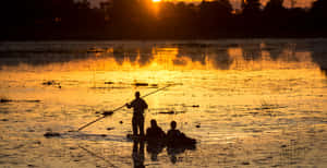 Caption: Magical Safari Adventure In Okavago Delta, Botswana Wallpaper