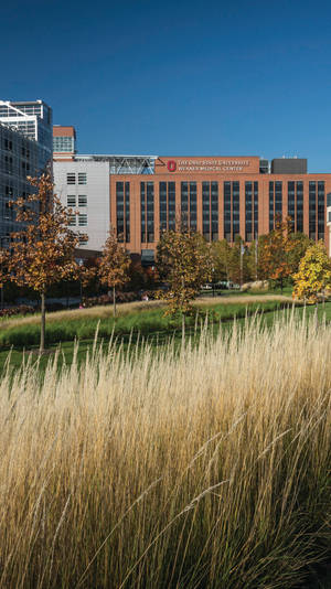 Caption: Ohio State University Medical Center At Golden Hour Wallpaper