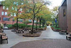 Caption: Outdoor Benches At Case Western Reserve University Wallpaper