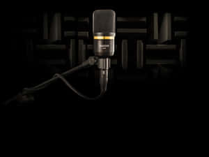 Caption: Premium Audix A231 Condenser Studio Microphone Wallpaper