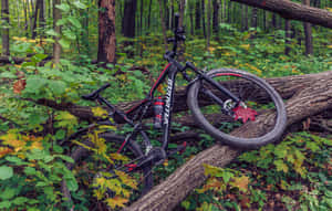 Caption: Racing The Trails With Specialized Mountain Bike Wallpaper