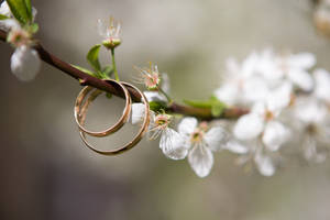 Caption: Romantic White Blossom Wedding Rings Wallpaper