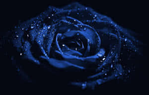 Caption: Saturated Blue Flower Brightening Desktop Background Wallpaper