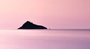 Caption: Serene Pink Desktop Background Wallpaper