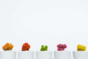 Caption: Simplicity Meets Nature Wallpaper