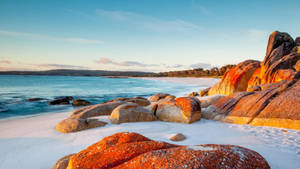 Caption: Stunning Sandy Rocks Of Tasmania Wallpaper