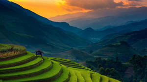 Captivating Beauty Of The Banaue Rice Terraces In Asia Wallpaper