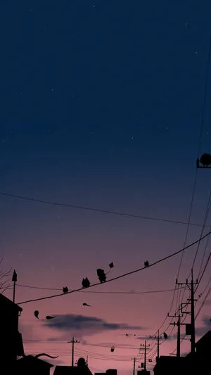 Captivating Iphone Photography - An Artistic Tumblr Lens Wallpaper