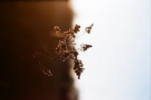 Captivating Mountain Landscape Captured In 4k Resolution Wallpaper