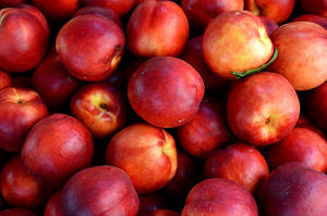 Captivating Nectarine Close-up Wallpaper